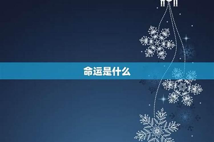 11月12日出生的是什么星的天蝎