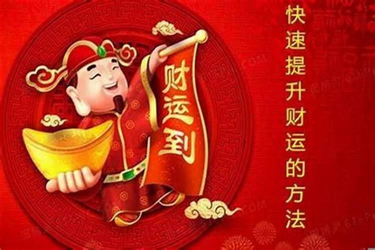 属羊的今年多大年纪了