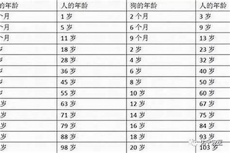 欠阴债不烧元宝怎么还