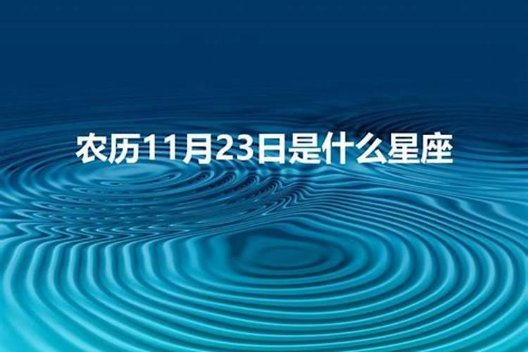 农历11月23日出生的人属什么