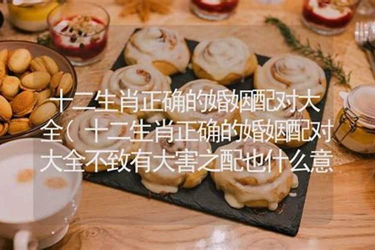 属相婚配中相害什么意思