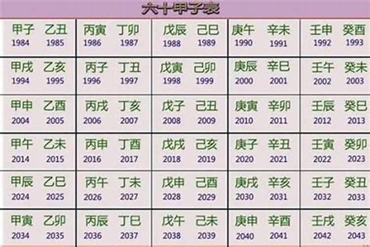 阳历2023年1月出生属什么