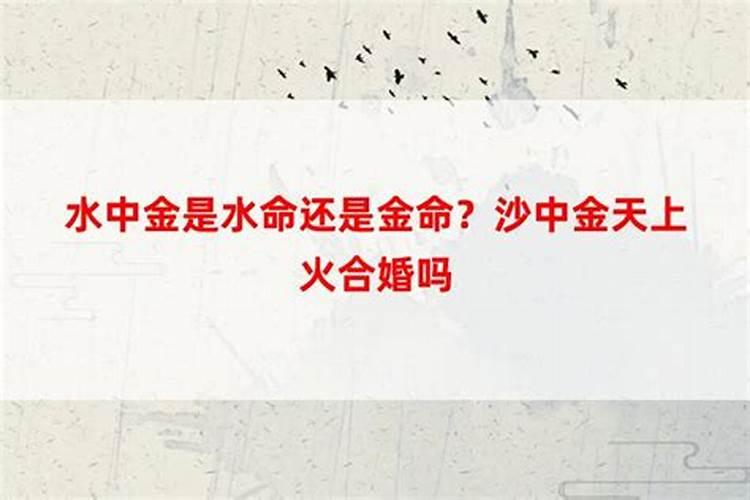 女人梦见鱼儿死了什么意思