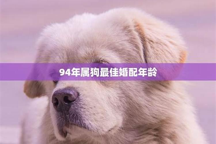 两个属狗的2021年什么时候结婚合适