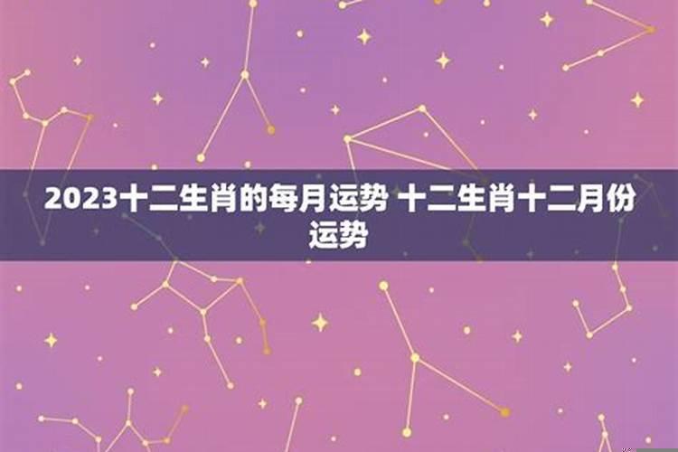 十二星座12月运势如何