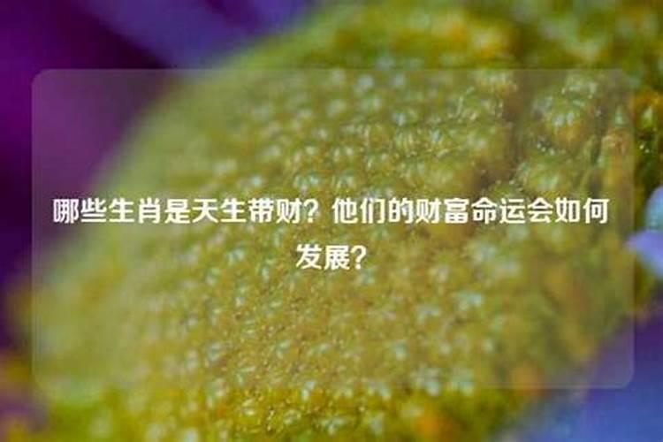 天生财库大是什么意思