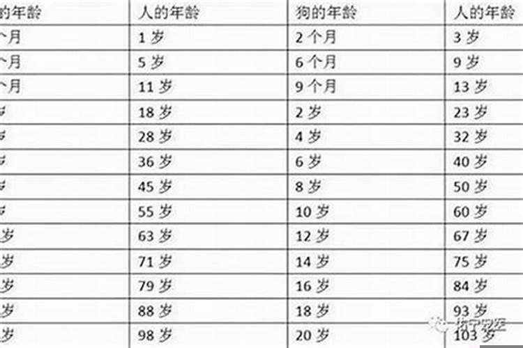 犯太岁有什么化解方法吗男