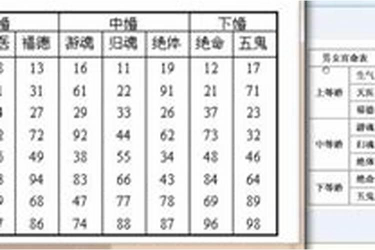 属鸡和属狗的能相配吗