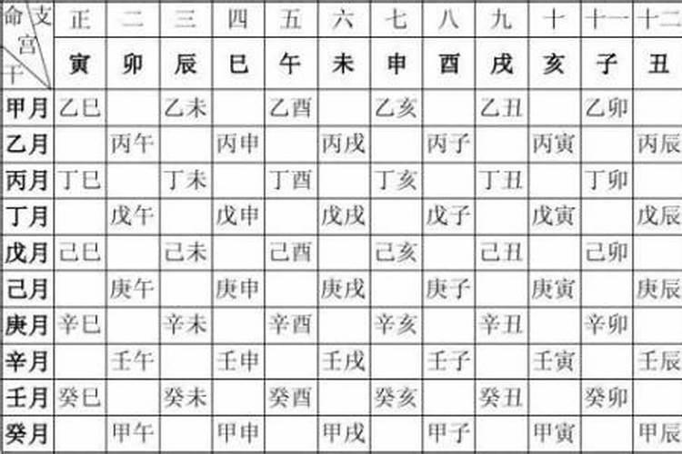 八字是玄机什么生肖