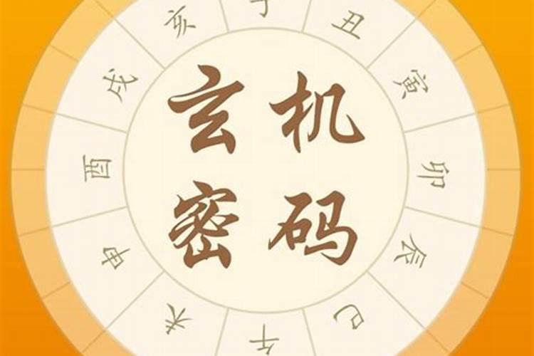 八字是玄机什么生肖