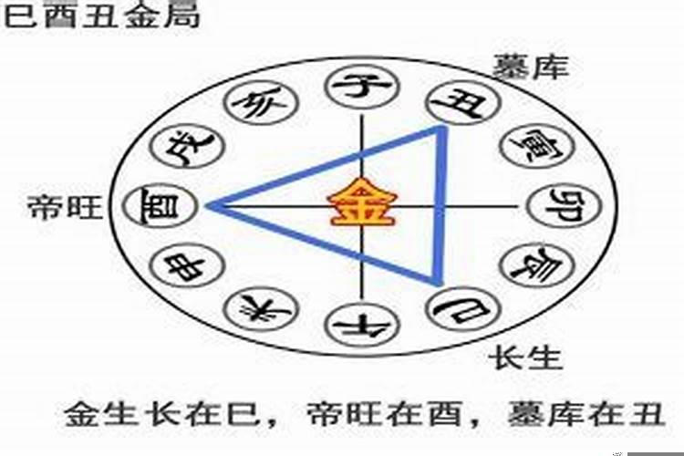 八字巳酉半合亥冲开会怎样