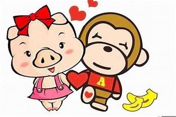 猪和猴合婚不合婚呀