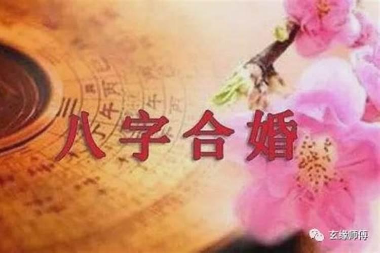 生肖龙的人今年运气怎么样呀女生结婚