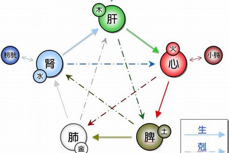 属水和属水的合婚吗