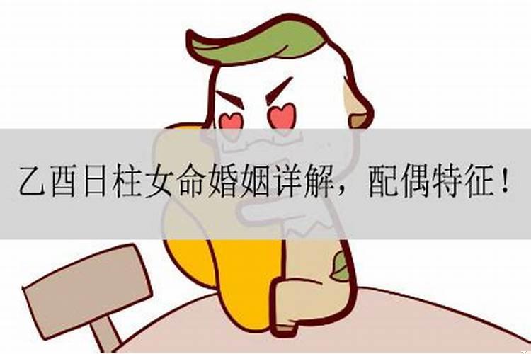 鸡和兔的婚姻怎么样