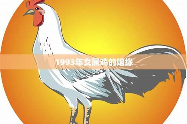 1993年属鸡的姻缘什么时候到来