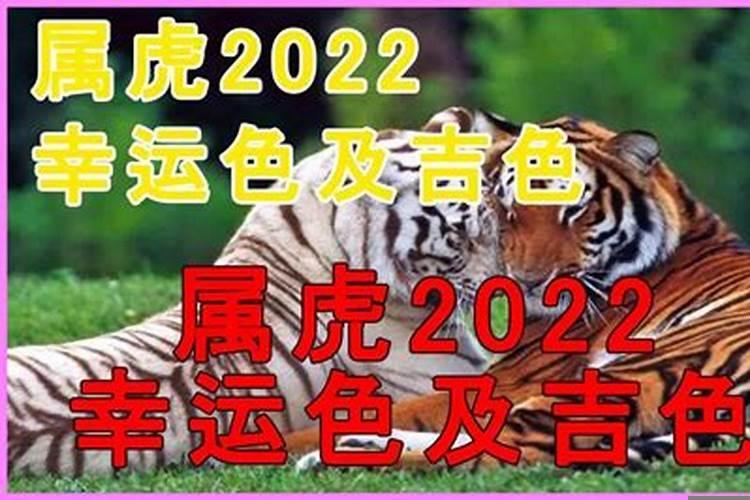 2022年属虎人幸运数字和颜色