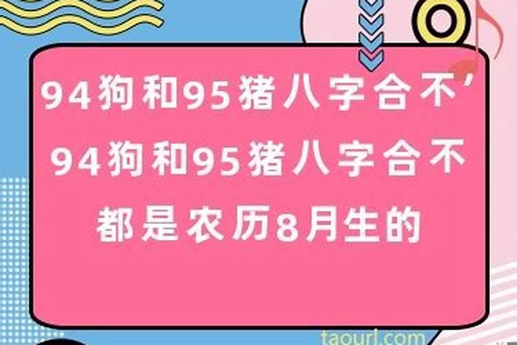 八字合婚狗已狗可以婚吗