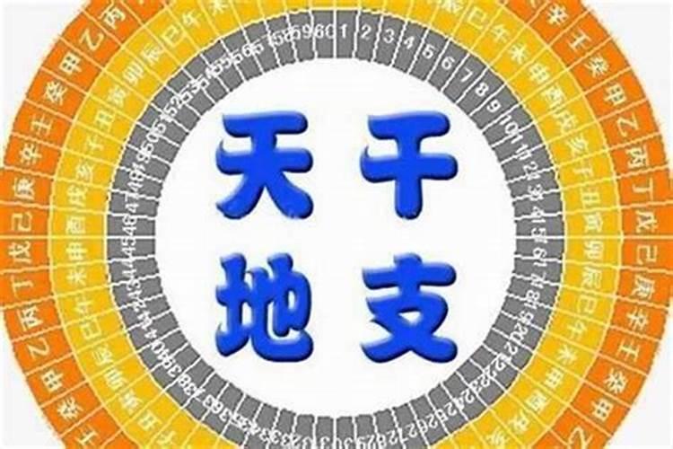 八字四柱不见财星女命