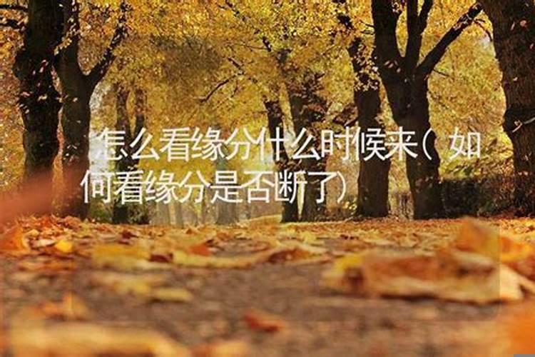 算命后说和前任缘分没断