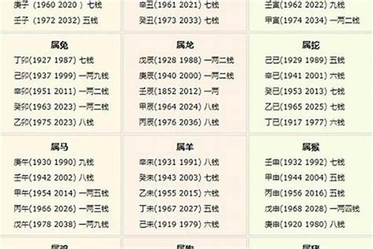 生肖运势2021年运势猴