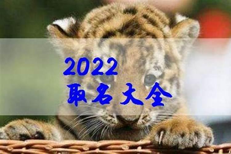 2022年属虎七月出生好男孩