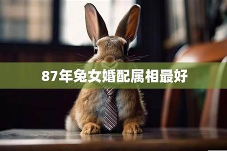 2021犯太岁的生肖怎样化解