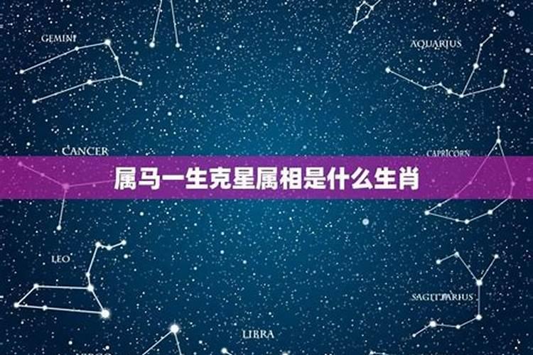 属马的克星属相