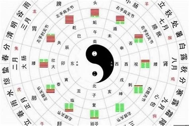 怎样看八字属性旺不旺