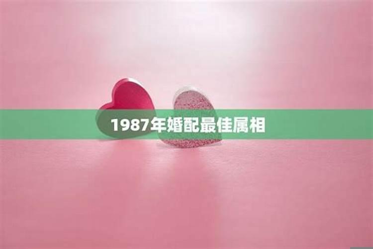 1987年出生宜和什么属相婚配