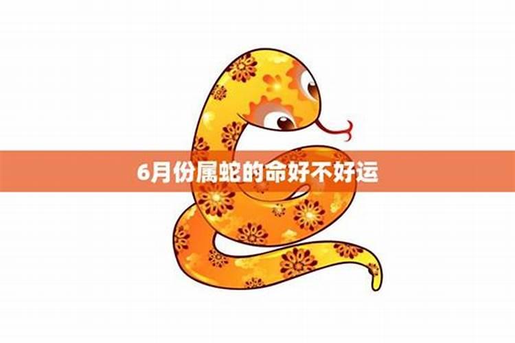 乙夘年跟癸亥可以合婚吗