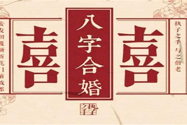 合八字主要合什么