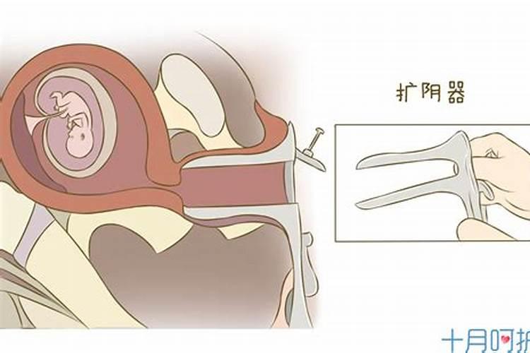 属鸡女几月出生最旺