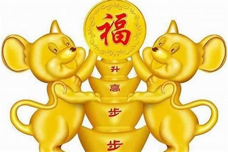 属猪的今年运势2021年运程如何