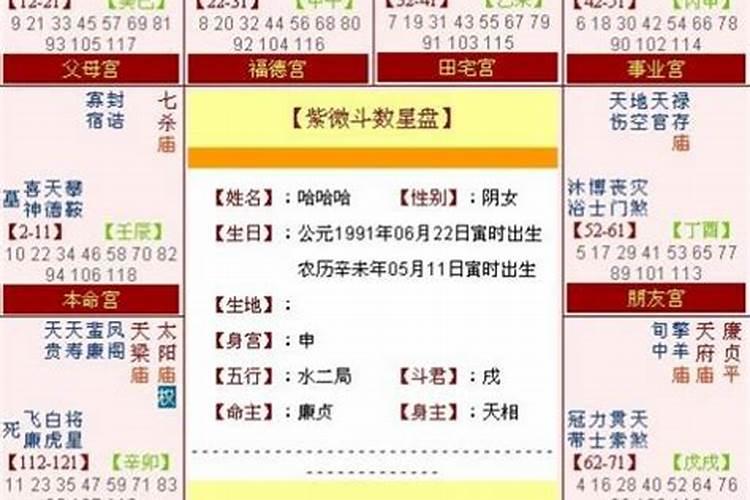 八字里的比才是什么意思