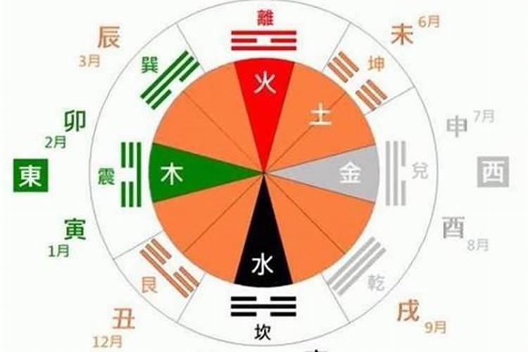 婚姻是看天干还是地支