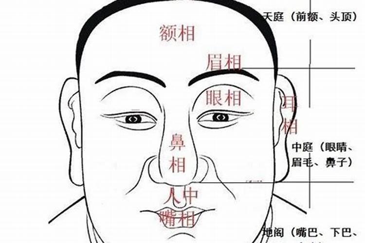 命里两个财库怎么讲