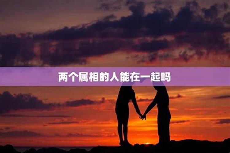 属相能决定婚配吗