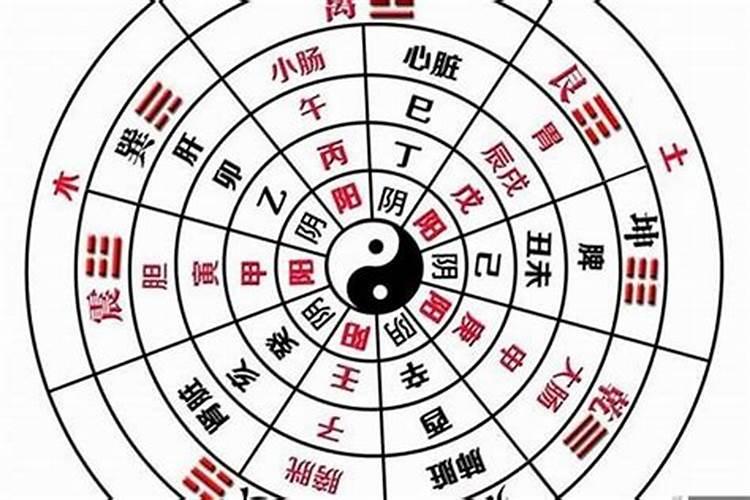 生辰八字5两8钱