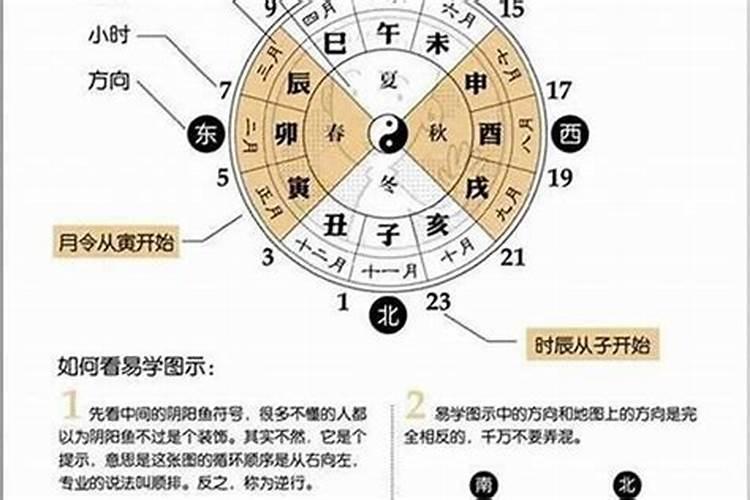 八字合婚看年柱还是日柱看婚姻好一点