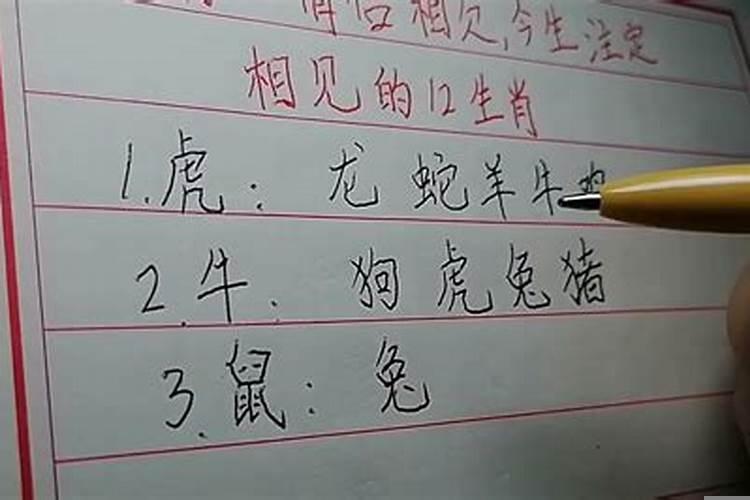 欠字打一生肖