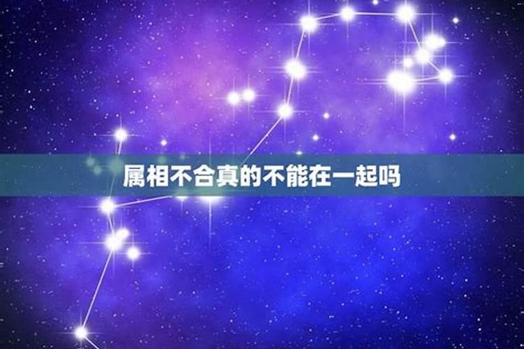 今年属兔人的运势怎么样2020年