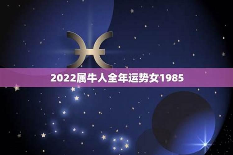 2022属牛人的全年运势如何看