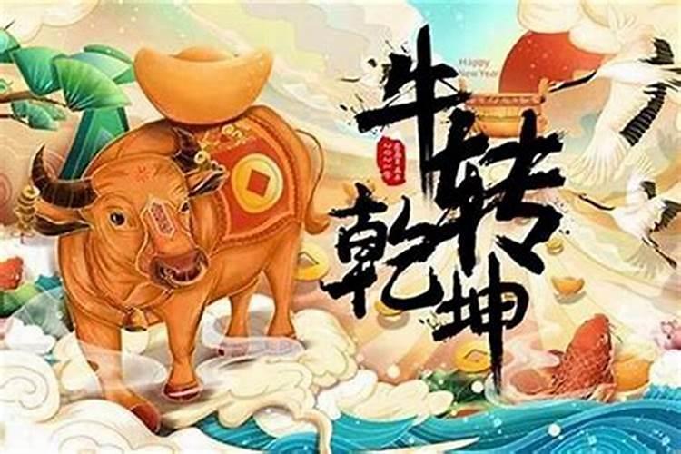 害太岁的猪2022年注意什么