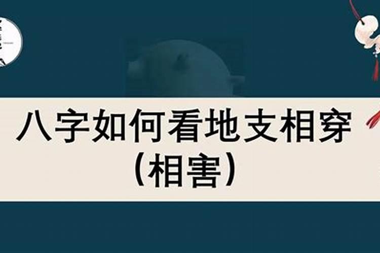 八字地支相穿相害