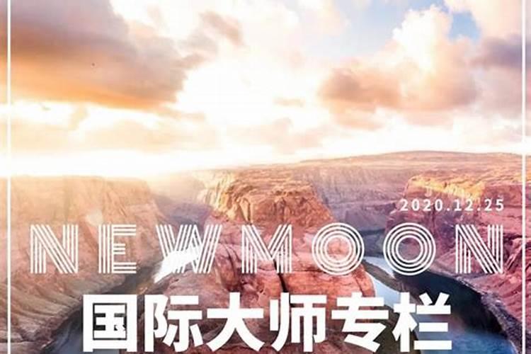 12星座运势2022年每月运势陶白白