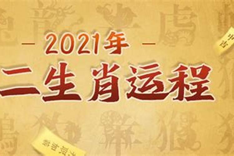 2021年生肖运势解析