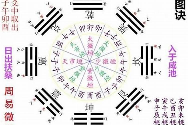 八字盲派命理分析