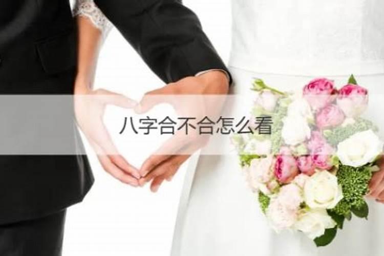 本命年可以结婚吗属龙女的婚姻怎么样啊