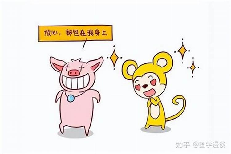 生肖猪男的性格和婚姻怎么样